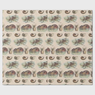 Papel De Regalo Náutica Vintage - Pulpo, Nautilus, Calamar (sm)