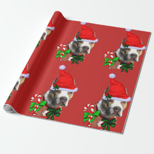 Papel De Regalo Navidad americano de Terrier de pitbull
