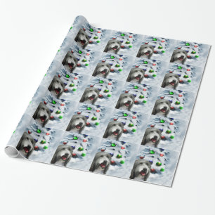 Papel De Regalo Navidad barbudo del collie