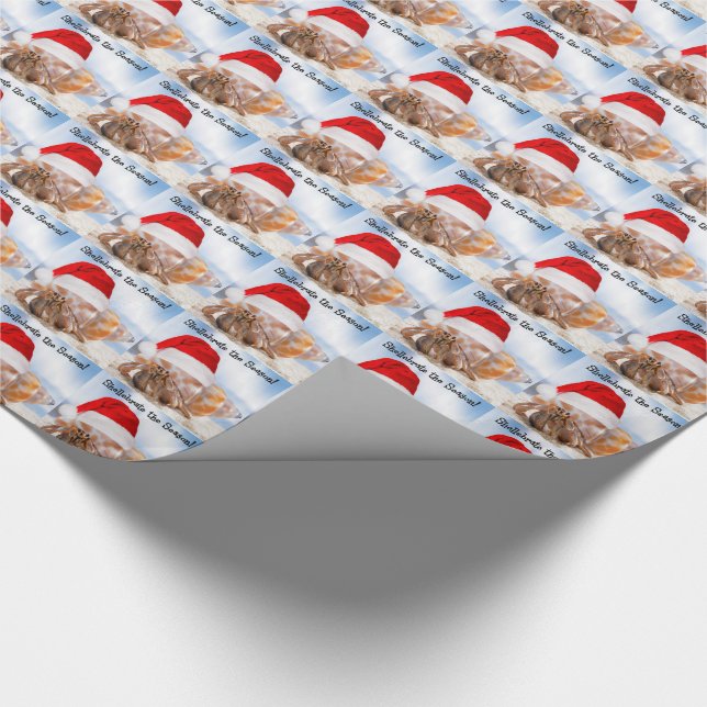 Papel De Regalo Navidad del cangrejo de ermitaño pequeño (Esquina)