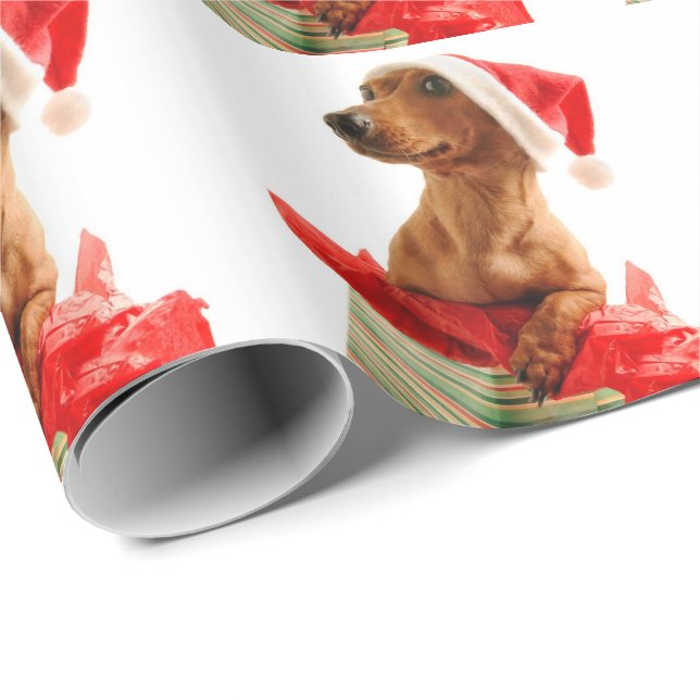 Papel De Regalo Navidad mismo de un Doxie (Esquina del rollo)