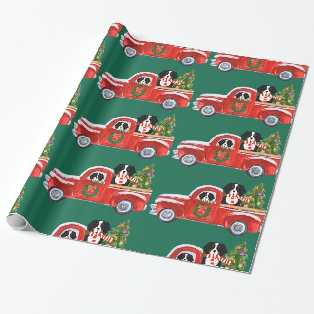 Papel De Regalo Navidades Bernese Mountain Dogs Red Truck (Desenrollado)