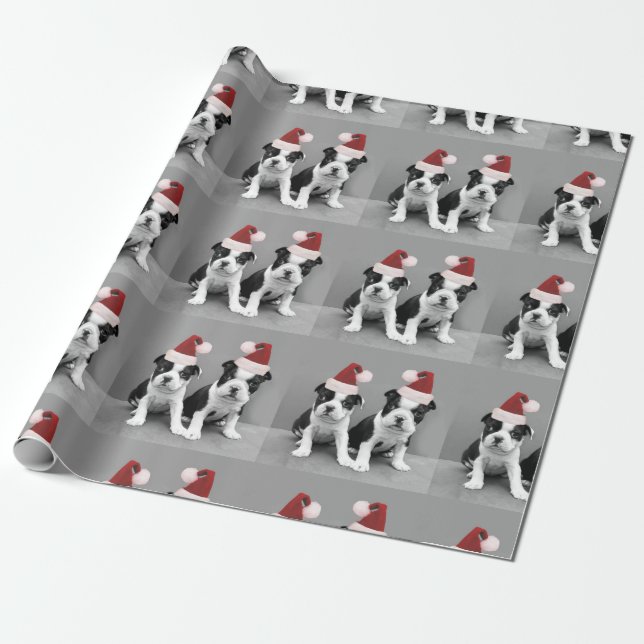 Papel De Regalo Navidades cachorros de Boston Terrier (Desenrollado)