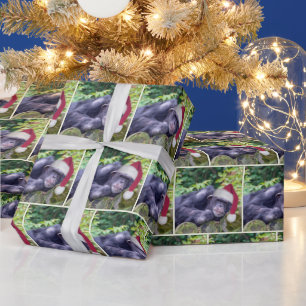 Papel De Regalo Navidades Chimpanzee con un Santa Hat