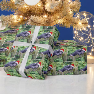 Papel De Regalo Navidades Chimpanzee con un Santa Hat