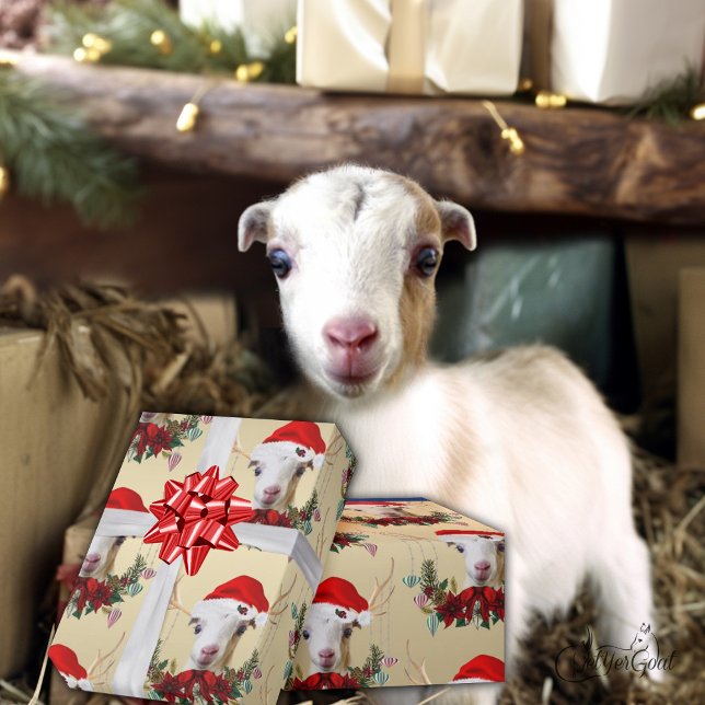 Papel De Regalo Navidades de cabra adoran a chico de LaMancha en p (Subido por el creador)