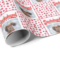Navidades de Dachshund Fotografía cómica Graciosa 
