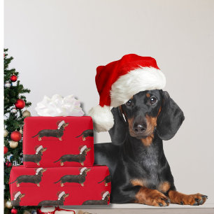 Papel De Regalo Navidades de perro de Dachshund Red Santa Hat