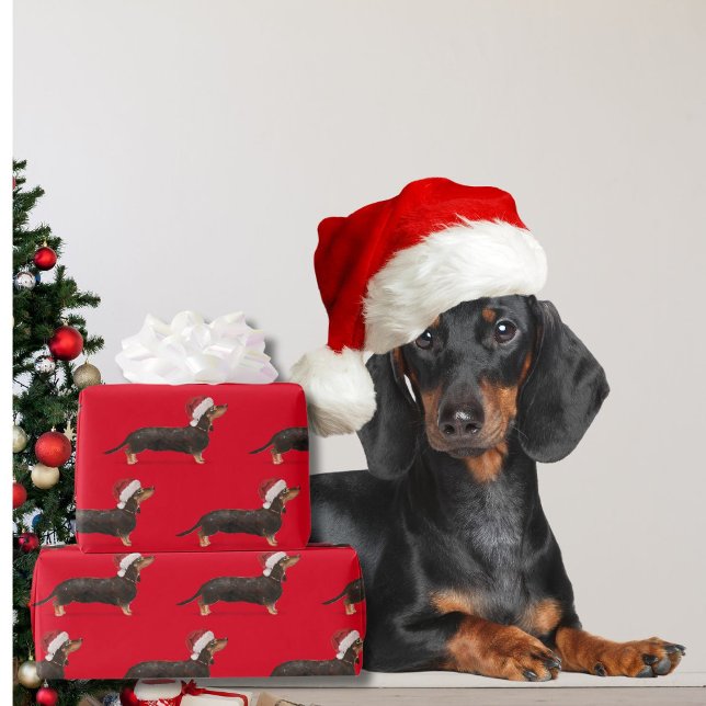 Papel De Regalo Navidades de perro de Dachshund Red Santa Hat (Subido por el creador)