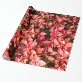 Papel De Regalo Navidades flor Poinsettia