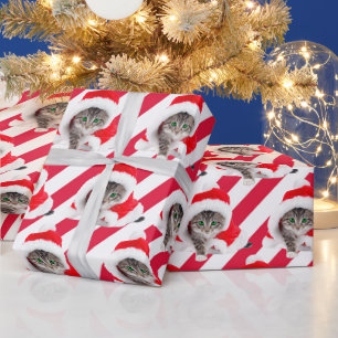 Papel De Regalo Navidades Gatitos En Gorra A Rayas