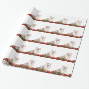 Papel De Regalo Navidades gato persa