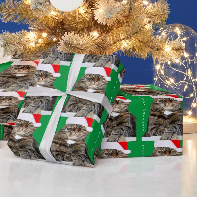 Papel De Regalo Navidades Humbug Foto con Santa Hat (Vacaciones)