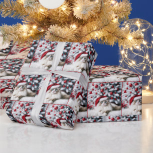 Papel De Regalo Navidades Ragdoll Cat en Santa Hat
