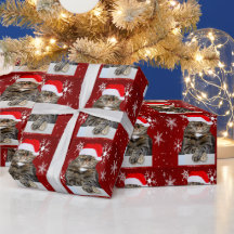 Navidades Santa Cat Humbug Foto Red Snowflake