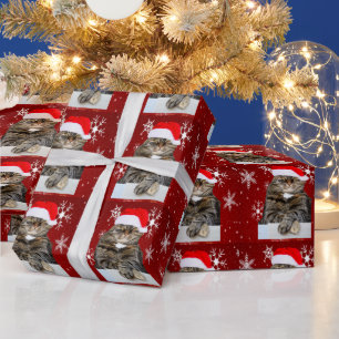 Papel De Regalo Navidades Santa Cat Humbug Foto Red Snowflake