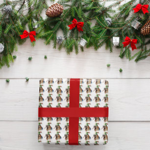 Papel De Regalo Navidades simpáticos Kiwi
