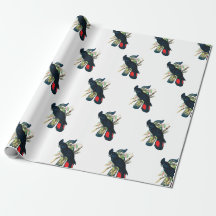 Papel de regalo negro del Cockatoo