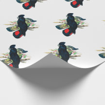 Papel de regalo negro del Cockatoo
