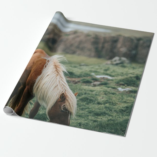 PAPEL DE REGALO NICE HORSE (Desenrollado)