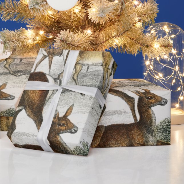 Papel De Regalo Nombre personalizado Red Deer Hart, Hind, Roebuck  (Vacaciones)