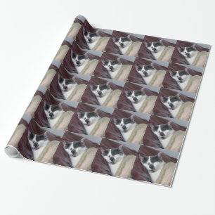 Papel De Regalo Nomenclatura de gatos