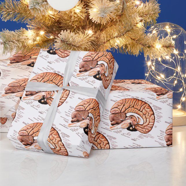 Papel De Regalo Novedad del Diagrama Médico de Anatomía del Cerebr (Vacaciones)