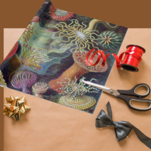 Papel De Regalo Océano marino Anemone Científico