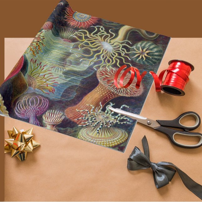 Papel De Regalo Océano marino Anemone Científico (Subido por el creador)