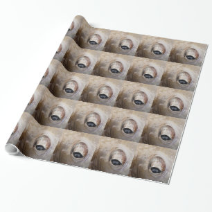 Papel De Regalo Octopus Eye