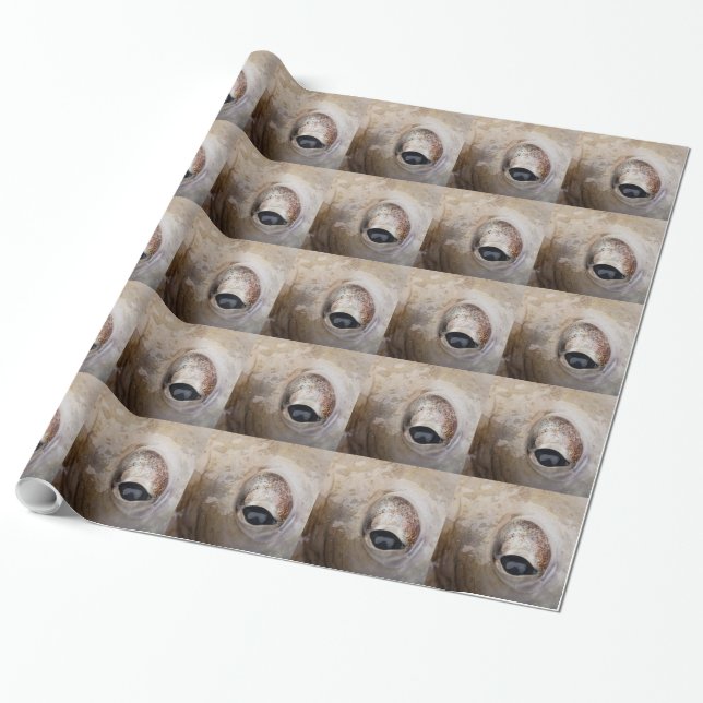 Papel De Regalo Octopus Eye (Desenrollado)