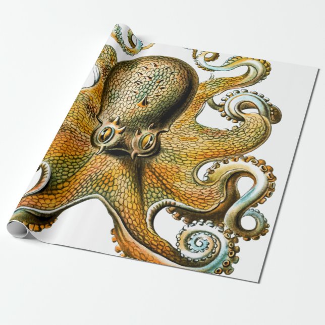 Papel De Regalo Octopus ventilado de Guay (Desenrollado)