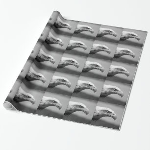 Papel De Regalo Ojo de águila blanca y negra