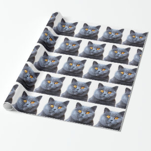Papel De Regalo Ojos amarillos de gatos