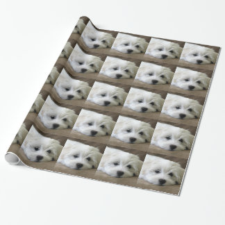 Papel De Regalo Ojos de cachorro
