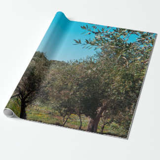 Papel De Regalo Olivos en el paisaje de Apulia en otoño. ag