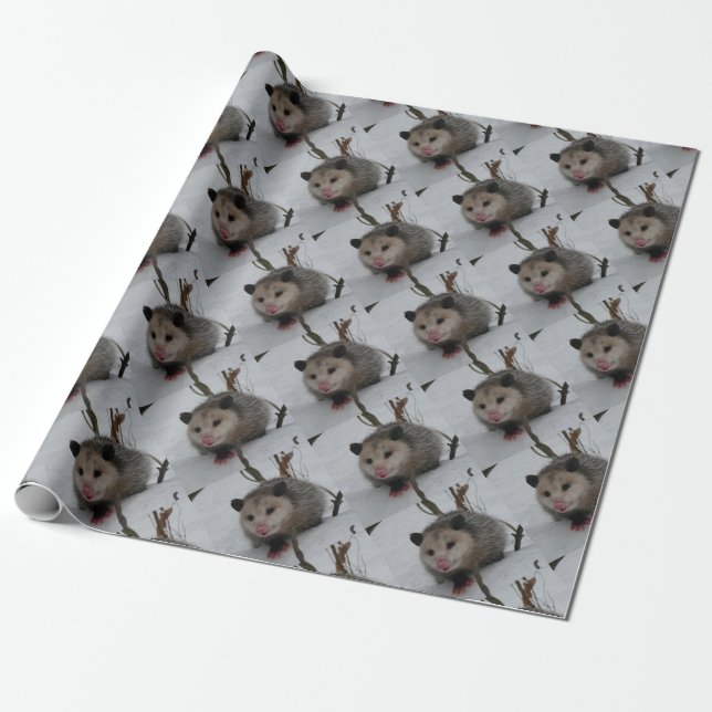 Papel De Regalo Oposum (Desenrollado)