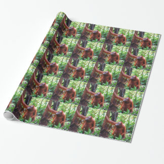 Papel De Regalo Orangután
