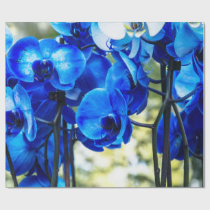 Papel De Regalo Orquídea azul