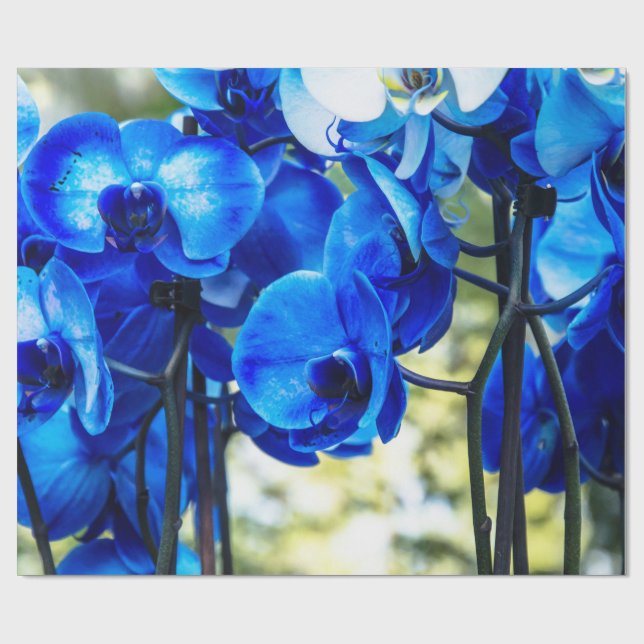 Papel De Regalo Orquídea azul (Superficie plana)