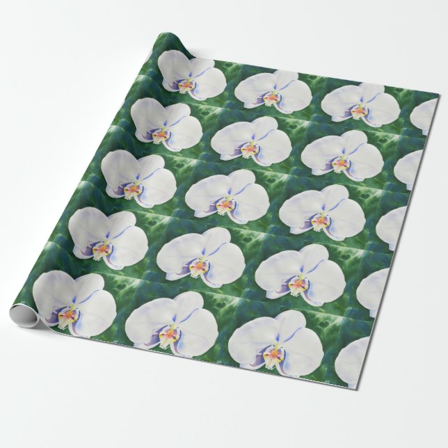 Papel De Regalo Orquídea de color blanco (Desenrollado)