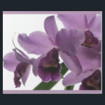 Papel De Regalo Orquídeas púrpuras elegantes de Cattleya<br><div class="desc">Las orquídeas de la papá en la floración otra vez. Papel de envoltorio para regalos púrpura de las orquídeas de Cattleya. La forma y la complejidad hermosas de la flor y de sus olores de fascinación han ganado los corazones de muchos. Fotografía original por riverme*©2009.</div>