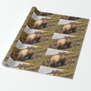 Papel De Regalo oso
