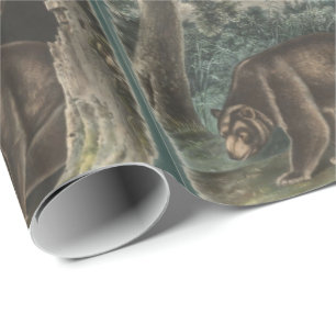Papel De Regalo Oso de canela de John James Audubon
