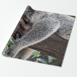 PAPEL DE REGALO OSO KOALA DURMIENDO EN ÁRBOL