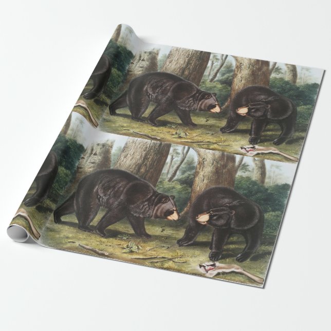 Papel De Regalo Oso Negro Estadounidense Ilustracion Ursus America (Desenrollado)