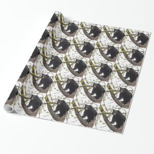 Papel De Regalo Oso negro trepador