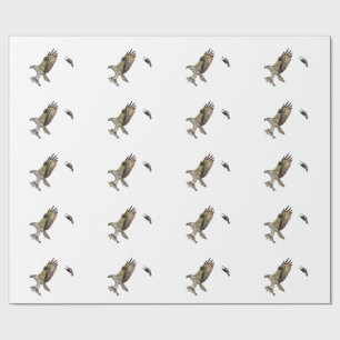 Papel De Regalo Osprey que es perseguido por un mirlo de alas