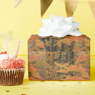 Papel De Regalo Otoño de hojas y árboles