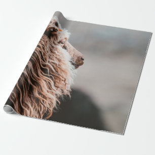 PAPEL DE REGALO OVEJAS